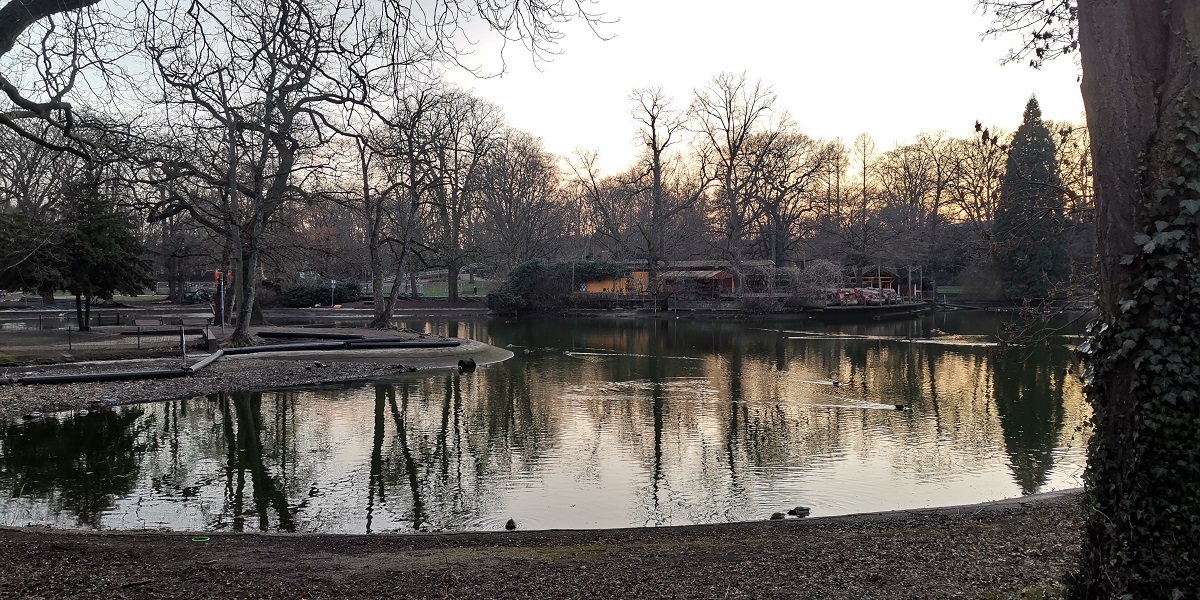 Bauarbeiten am Teich im Volksgarten Köln
